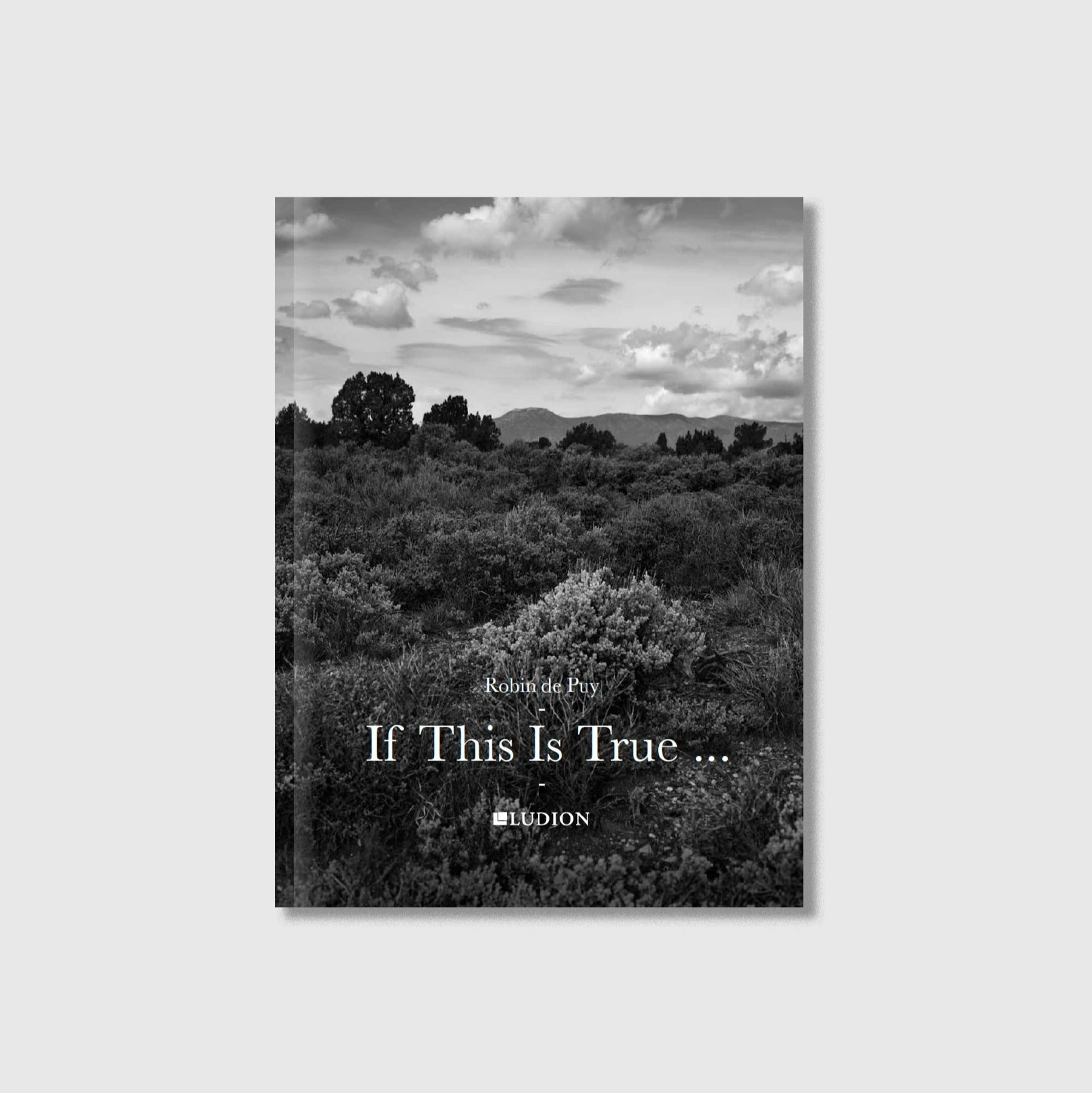 If This Is True - gallery talk in Amsterdam