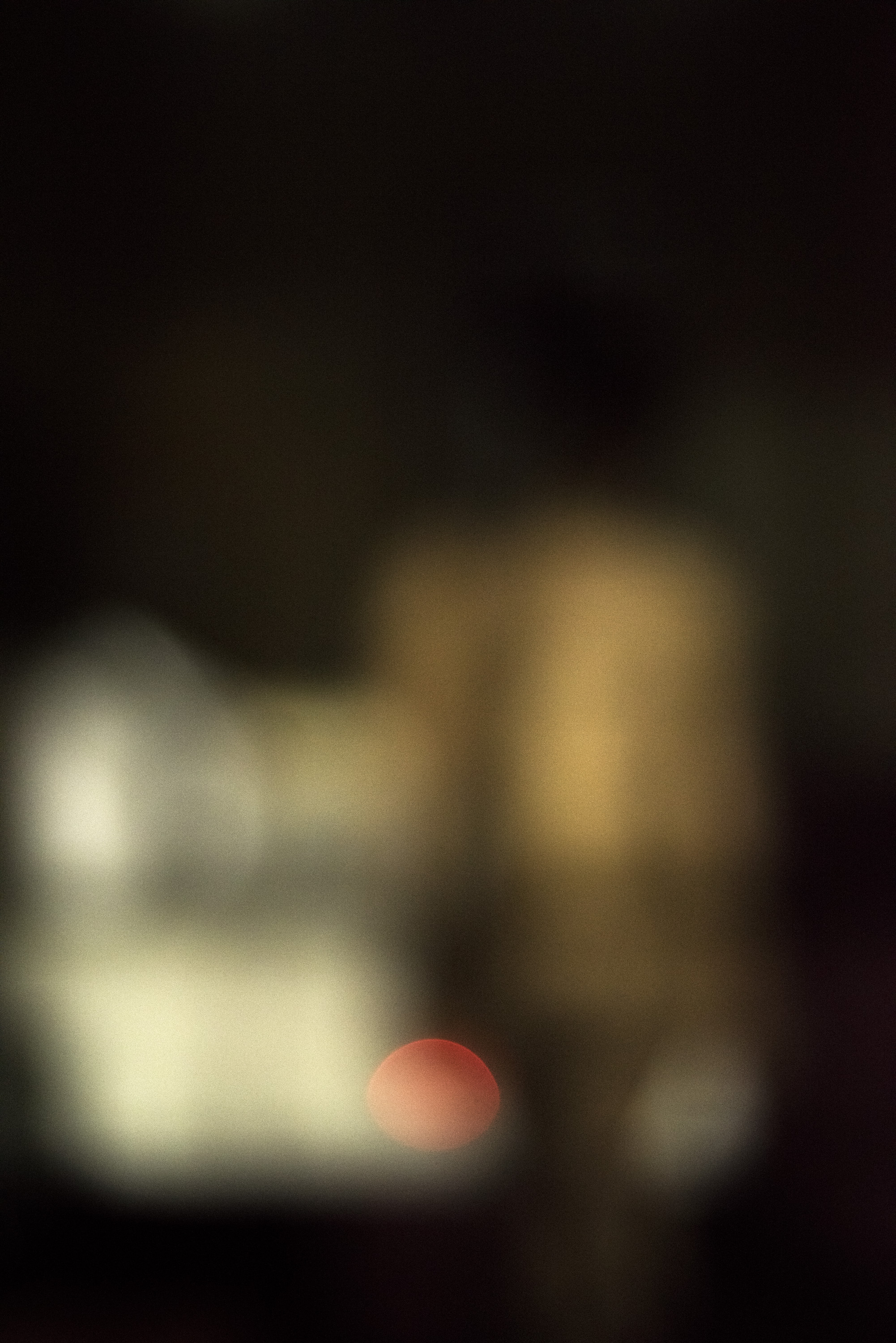 Self Portraits